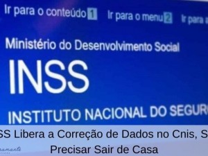 INSS Libera a Correção de Dados no Cnis, Sem Precisar Sair de Casa